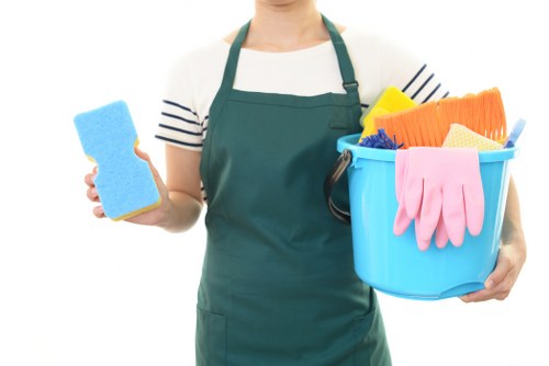 Cleaner Pimlico recycling and sustainability in a city neighbourhood