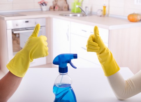 Routine cleaning service for a Pimlico home with period features