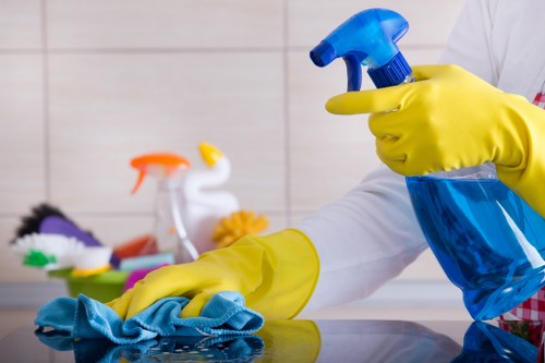 Local cleaning team working in a Pimlico period property