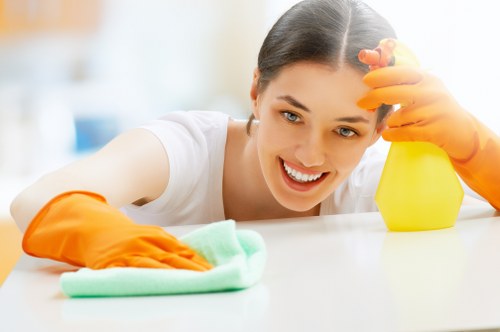 Cleaning pet accidents from upholstery in a Pimlico living room