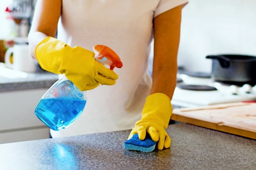 Professional one-off cleaning for a central London flat