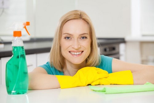 Cleaning service covering Pimlico and nearby central London areas