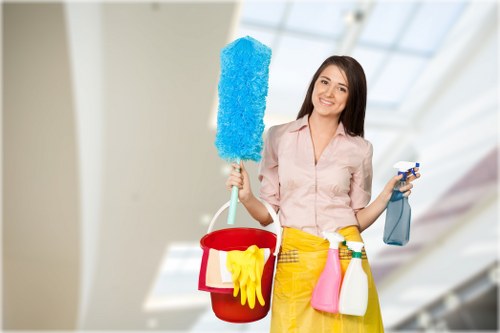 Inclusive online experience for Cleaner Pimlico visitors