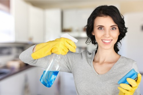 Domestic cleaner working in a Pimlico kitchen and living space