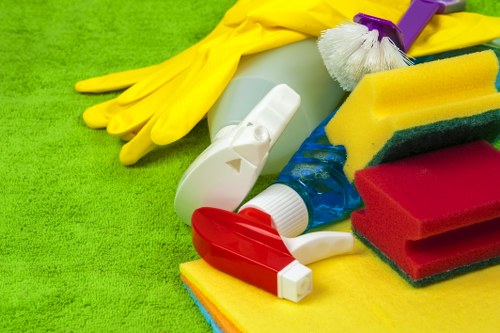 Detailed tenancy cleaning for a Pimlico apartment before handover