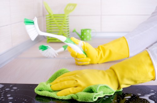 Bathroom deep clean for move out cleaning in Pimlico