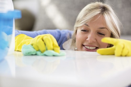 Local mattress cleaning for rental and residential properties