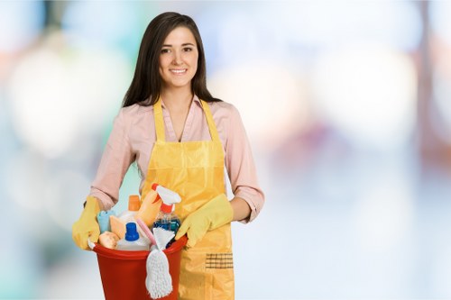 Professional cleaning tasks for Pimlico offices including desks, kitchens, and washrooms