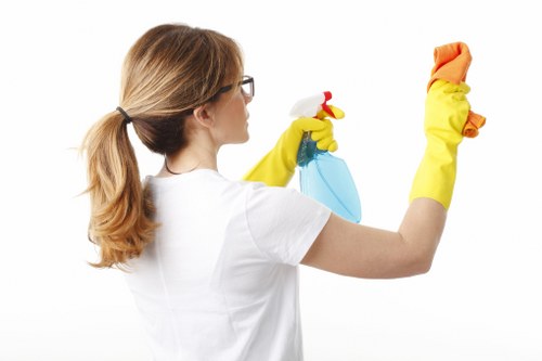 Detailed bathroom deep cleaning in a Pimlico property