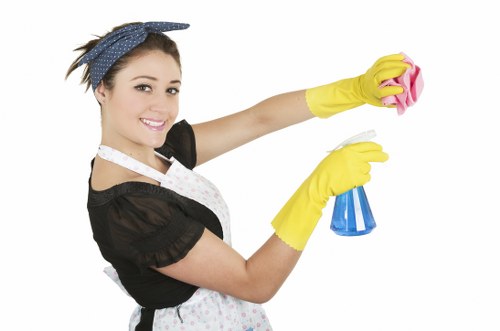 Local deep cleaning team working in Pimlico near period properties