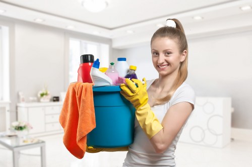 Local cleaner carrying out regular kitchen cleaning in Pimlico