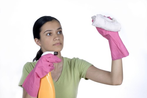 Local carpet cleaning process for a Pimlico home or office interior