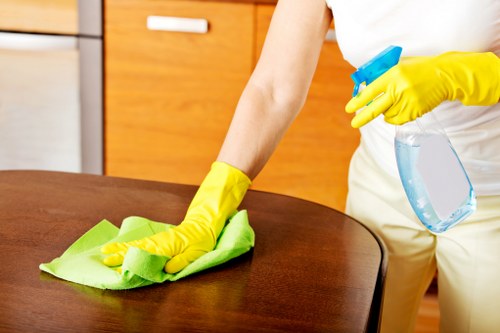 Kitchen and bathroom domestic cleaning in a Pimlico flat